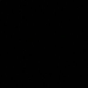 Meet your Posher, Helen